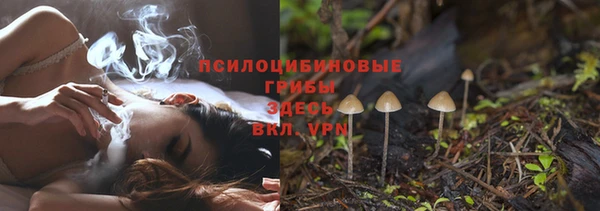мдпв Лиски