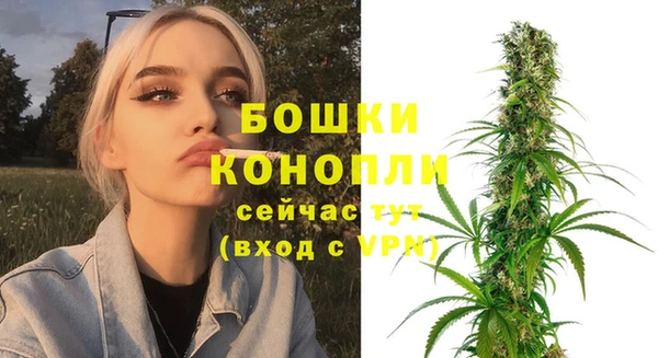 мдпв Лиски