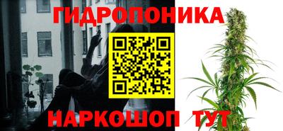прущий лед Гусев