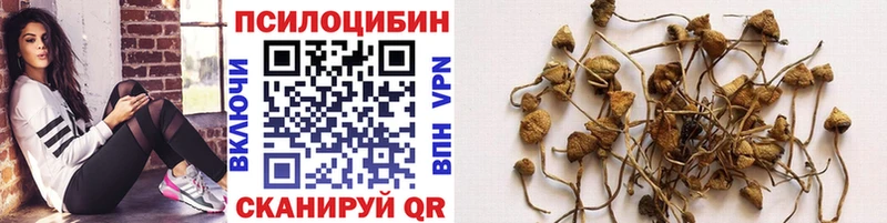 Галлюциногенные грибы MAGIC MUSHROOMS  цены   мега как войти  Кемерово 