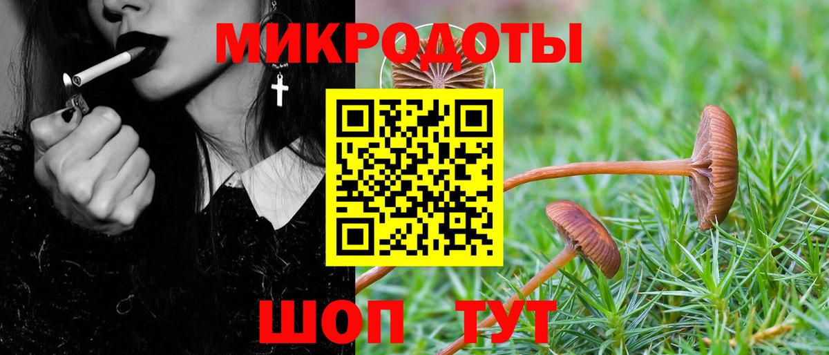 Кемерово  Галлюциногенные грибы Psilocybe  Вход с VPN 