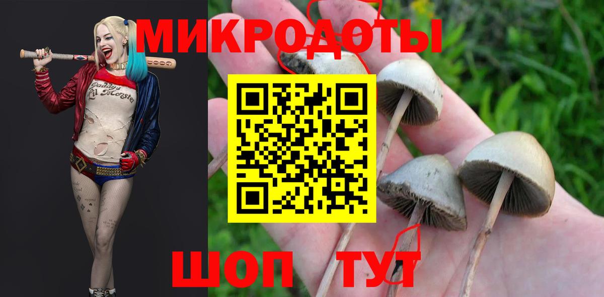 Псилоцибиновые грибы мухоморы Кемерово