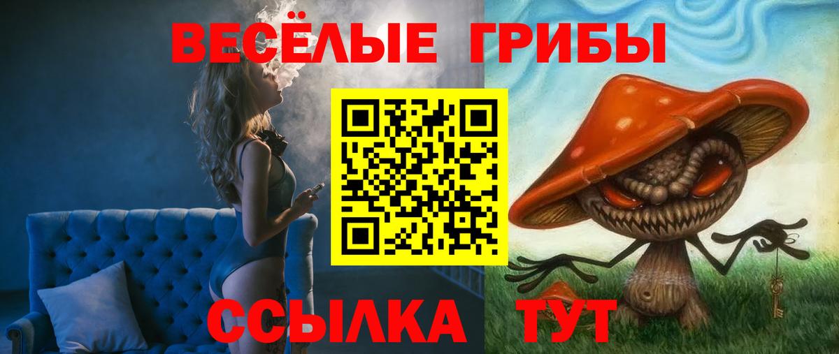 Мефедрон кристаллы  Гашиш  Каннабис  Вход с VPN  Где найти наркотики?  ЭКСТАЗИ  Alpha-PVP СК   Кемерово  Кокаин  ГАШ 