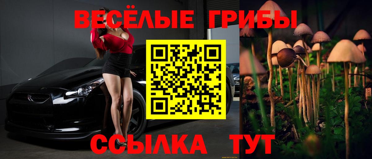 Псилоцибиновые грибы MAGIC MUSHROOMS Кемерово