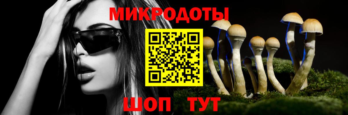 Псилоцибиновые грибы Magic Shrooms  Галлюциногенные грибы ЛСД  Кемерово 